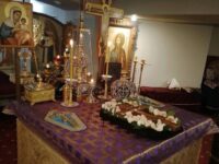 Всенощное бдение в Соборном храме святителя Феофана Затворника еп. Вышенского г. Новоаннинский