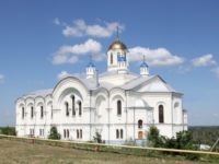 Похититель задержан