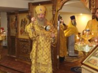 Божественная литургия в храме Феофана Затворника г. Новоаннинского.