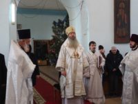 Божественная Литургия в храме Рождества Христова в с. Нижняя Добринка.