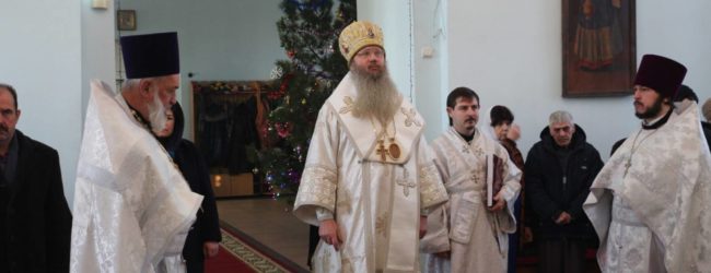 Божественная Литургия в храме Рождества Христова в с. Нижняя Добринка.