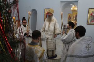 Собор Пресвятой Богородицы (Детская Божественная литургия)