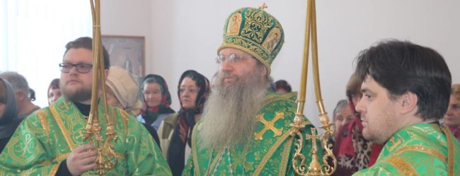 Божественная литургия в храме прп. Исаака Сирина г. Новоаннинского.