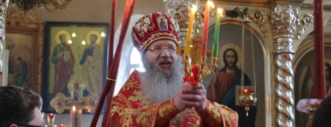 Итоги года служения епископа Урюпинского и Новоаннинского Елисея. (Фоторепортаж за 2018 год)