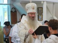 В Троицкую родительскую субботу.