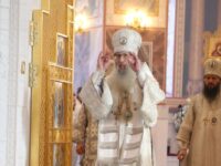 Литургия в кафедральном соборе святого благоверного князя Александра Невского города Волгограда.