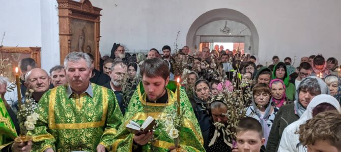 «Из уст младенец и ссущих совершил еси хвалу»