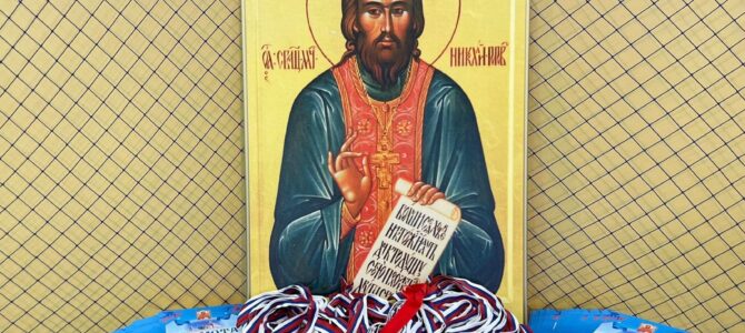 Детско-юношеские соревнования по вольной борьбе посвященные местночтимому Святому Николаю Попову.