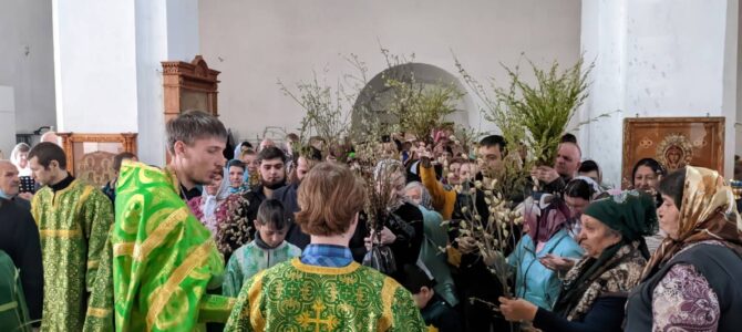 В Покровском кафедральном соборе г. Урюпинска была совершенна праздничная Божественная литургия